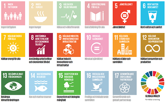 Bild av FN:s globala mål enligt Agenda 2030