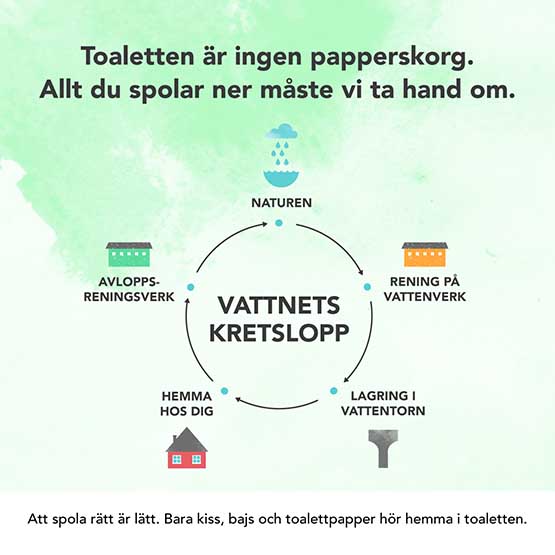 Vattnets kretslopp - spola rätt i toaletten.